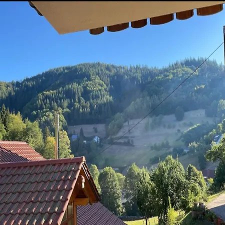 Mit Weinbergblick * Bad Peterstal-Griesbach