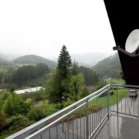 Mit Weinbergblick Apartmán Bad Peterstal-Griesbach