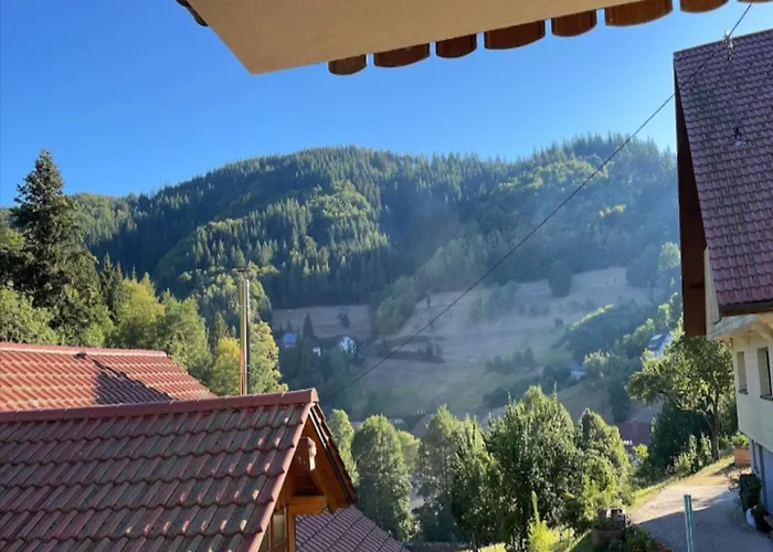 Mit Weinbergblick * Bad Peterstal-Griesbach