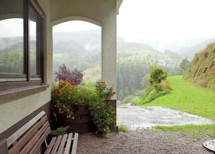 Mit Weinbergblick * Bad Peterstal-Griesbach