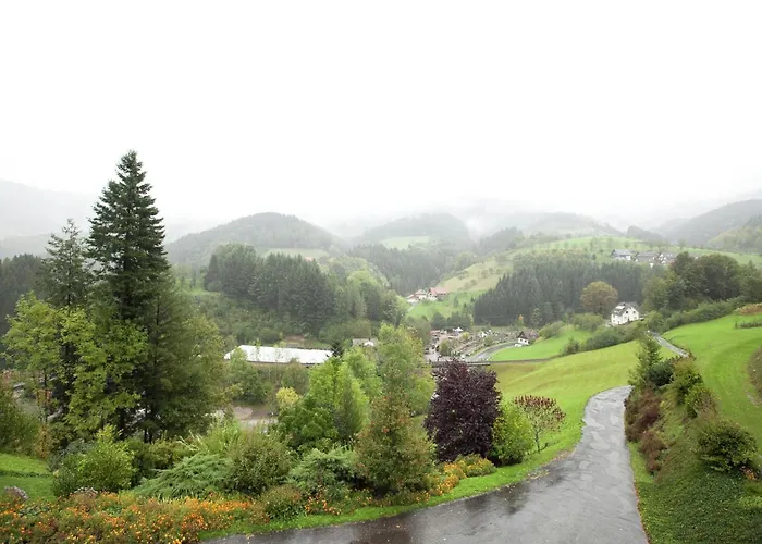 Mit Weinbergblick * Bad Peterstal-Griesbach