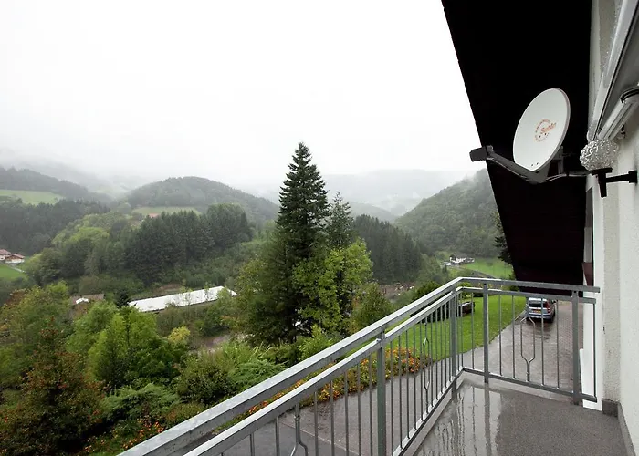 Mit Weinbergblick Apartment Bad Peterstal-Griesbach